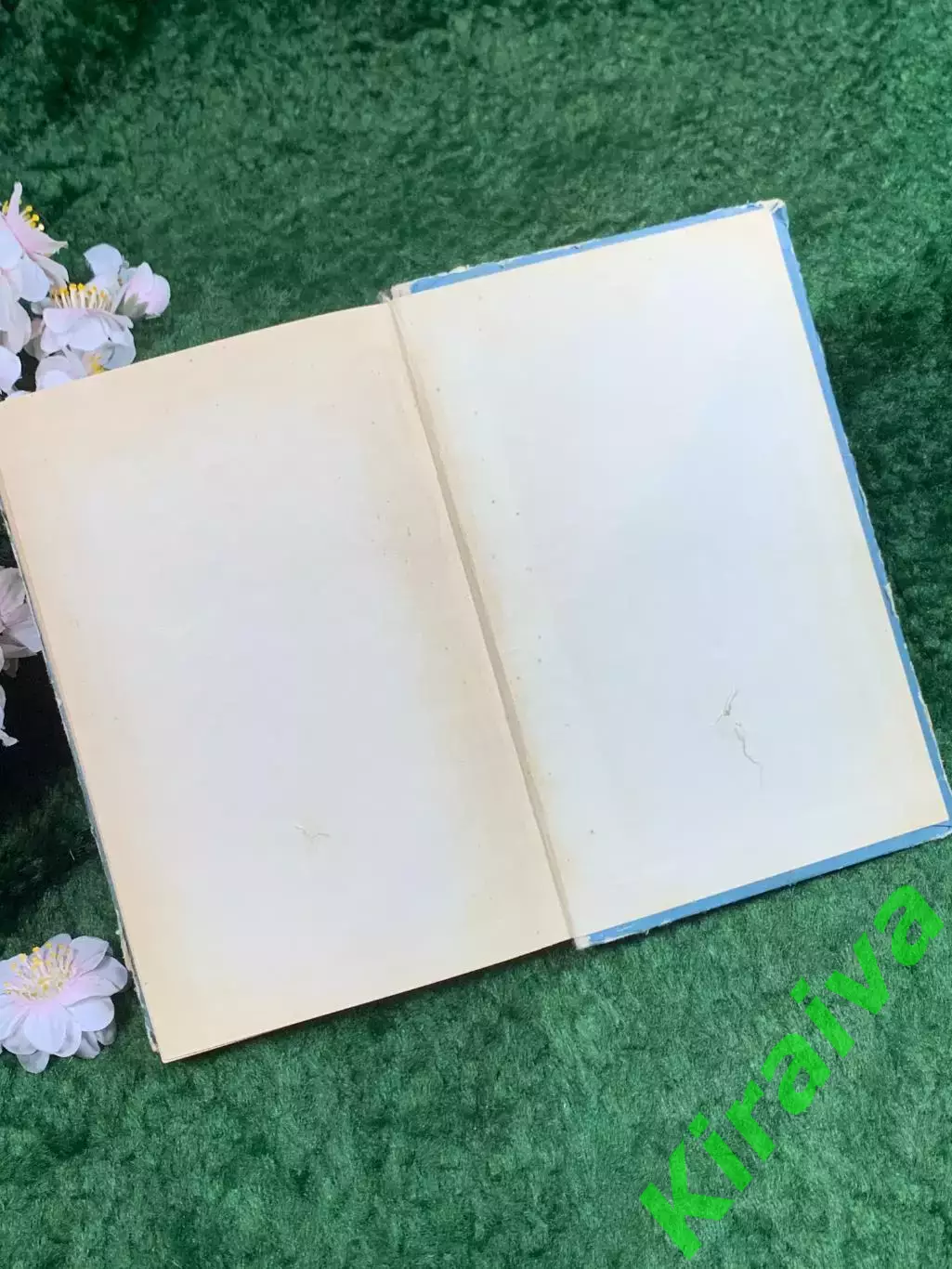 Книга «Произведения» Иван Котляревский, иллюстрации А. Базилевича, 1965 г. Н8358 6