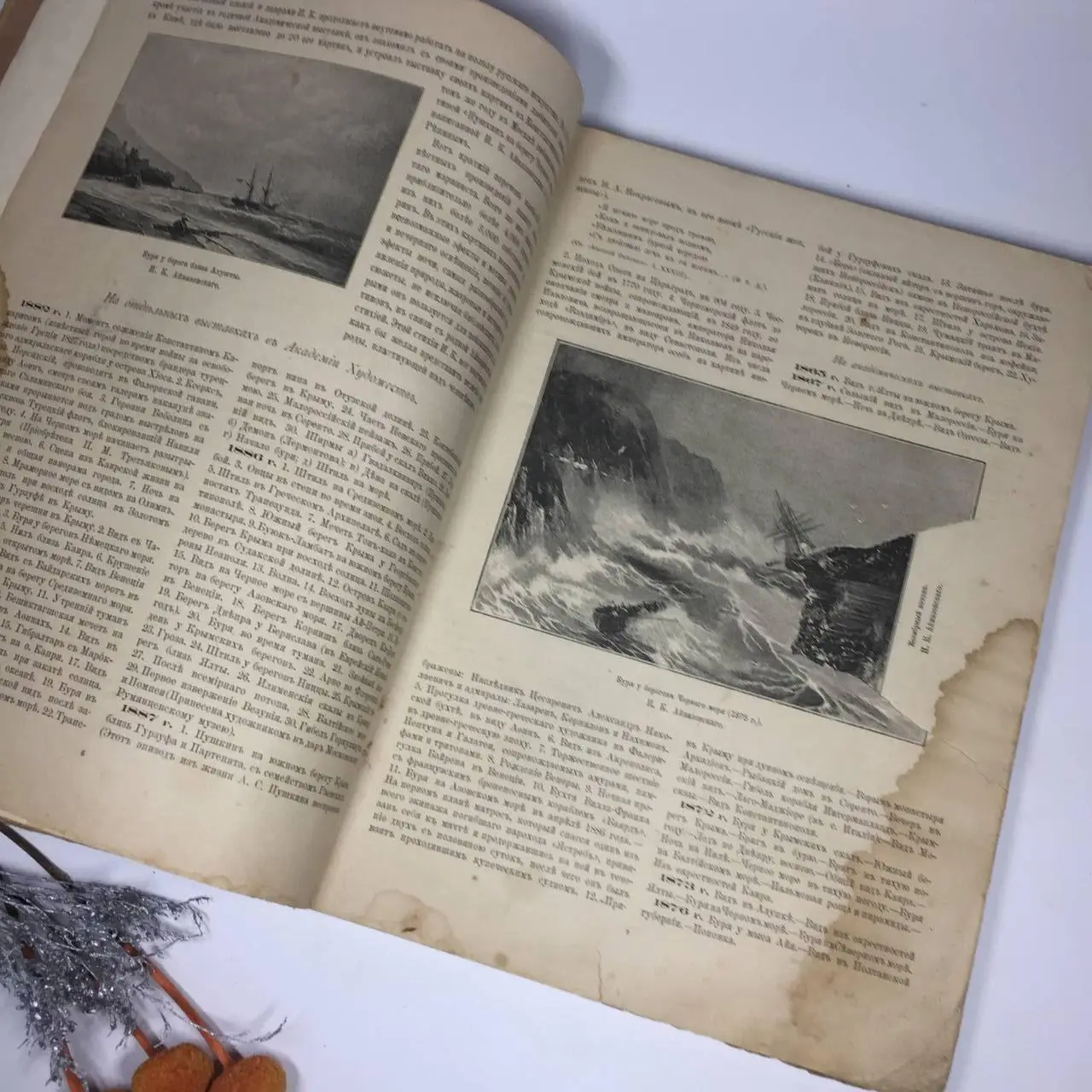 Книга Царизм Антикварное издание Наши художники Изд. Суворина 1890 г. Н4038 2