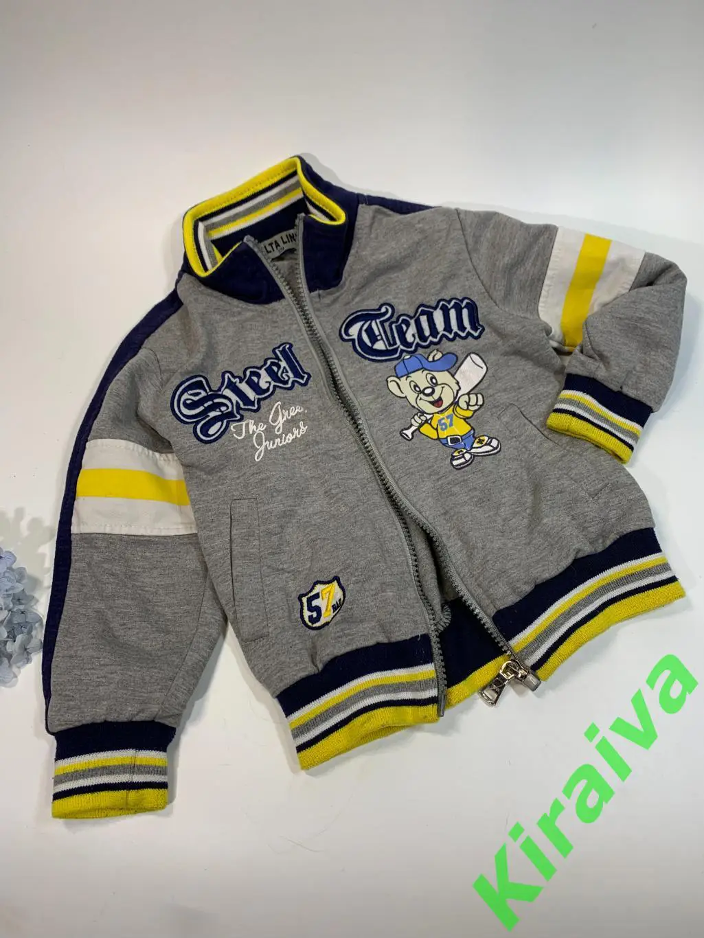 Кофта бомбер с принтом Alta Linea на мальчика 2-3 года (92-98 см) Н1688Полуобх 1