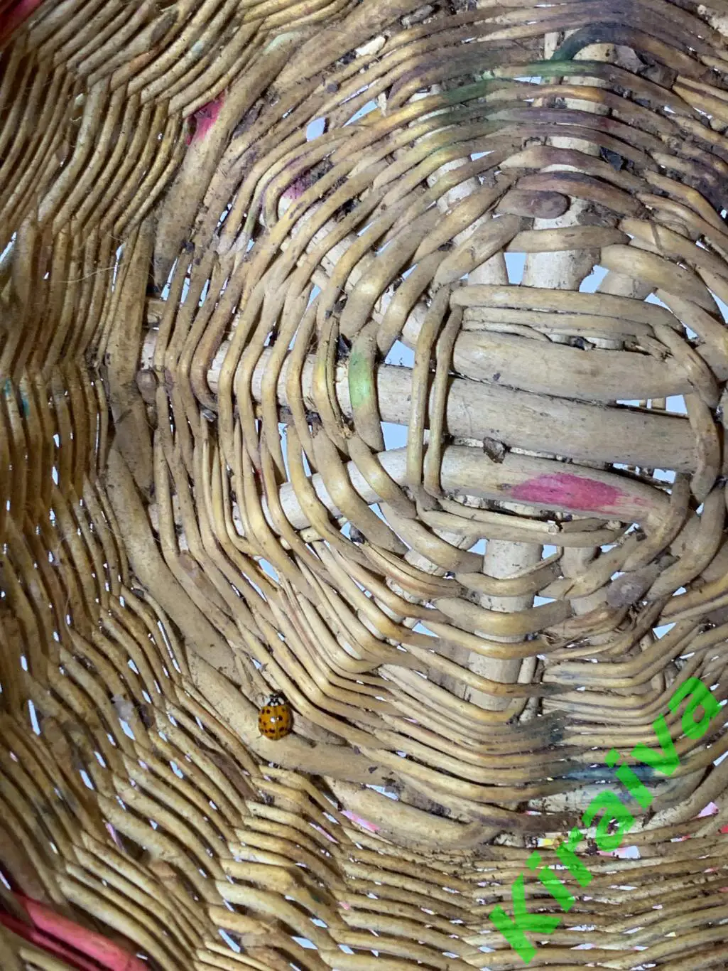 Корзина плетеная круглая маленькая из лозы 22х22x13 см Н1835Плетёная корзина и 6