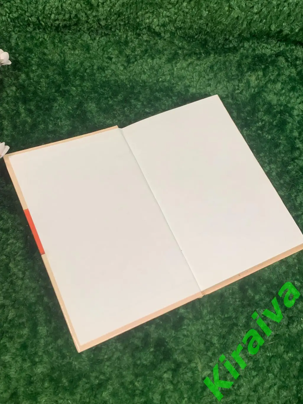 Книга кулинария рецепты «Украинская традиционная кухня» Н.В. Абельмас 2004 г Н10 1