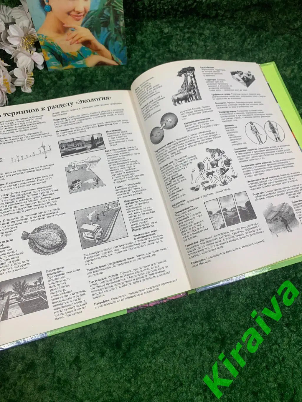 Книга Энциклопедия Планета Земля Росмэн 2001 год цветные иллюстрации ретро вин 6