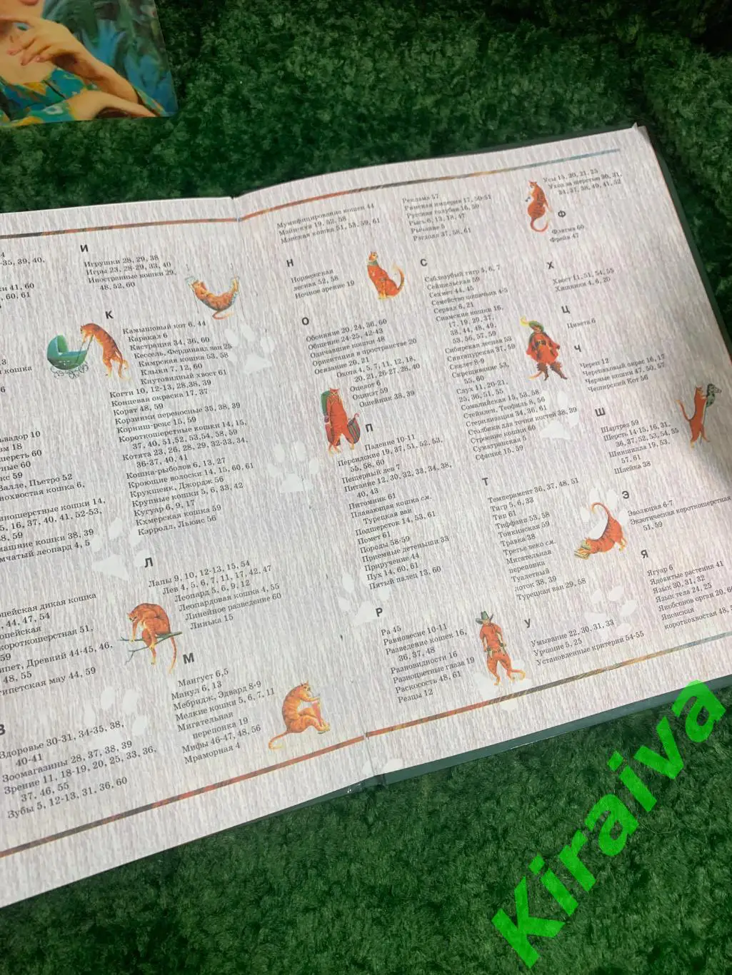 Книга детская энциклопедия Кошки. Эволюция, история, породы, поведение, уход А 5