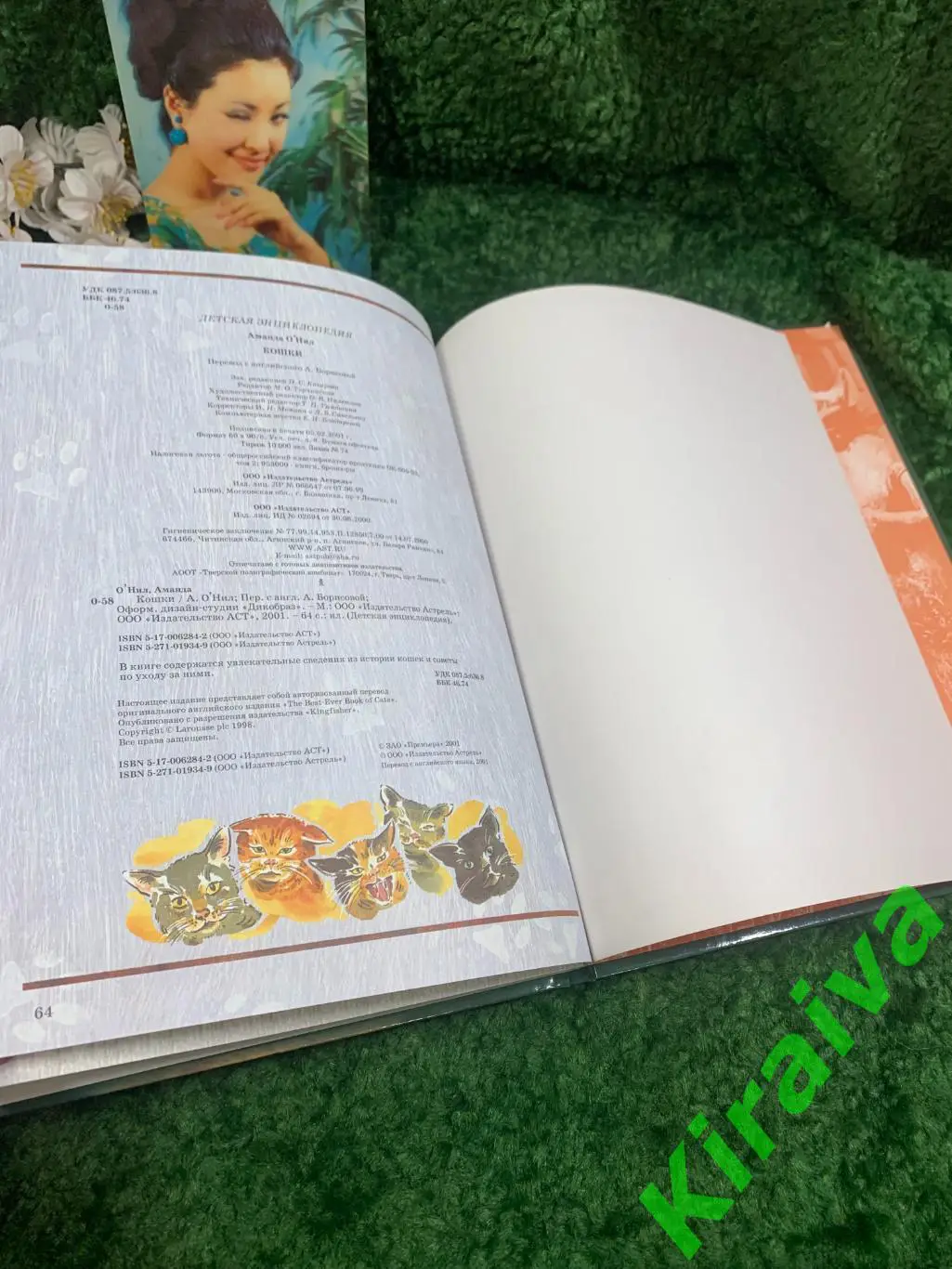 Книга детская энциклопедия Кошки. Эволюция, история, породы, поведение, уход А 6