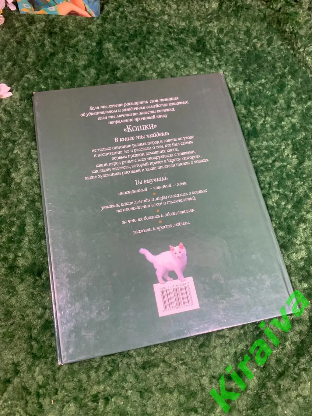 Книга детская энциклопедия Кошки. Эволюция, история, породы, поведение, уход А 7