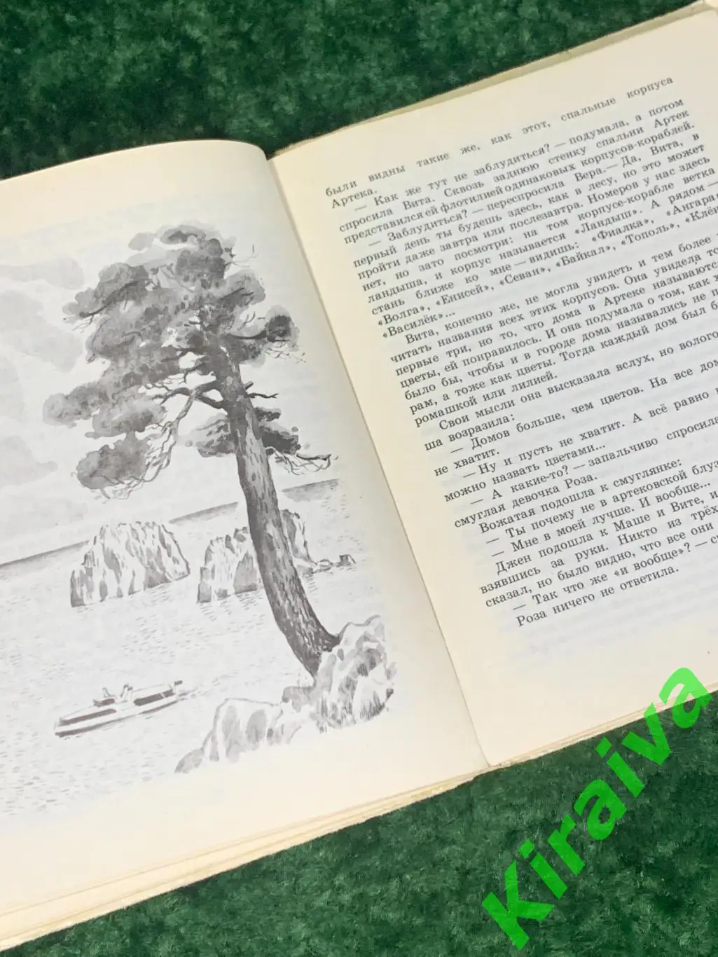 Книга детская литература, повесть о дружбе Письмо на панцире Ефетов 1976 Н1742 5