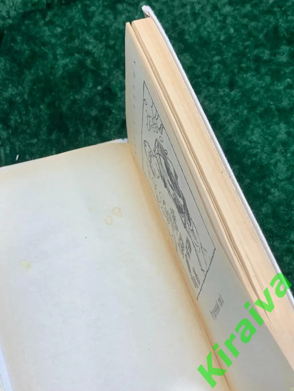 Книга роман-притча для школьников Тим Талер, или Проданный смех Джеймс Крюс 19 5