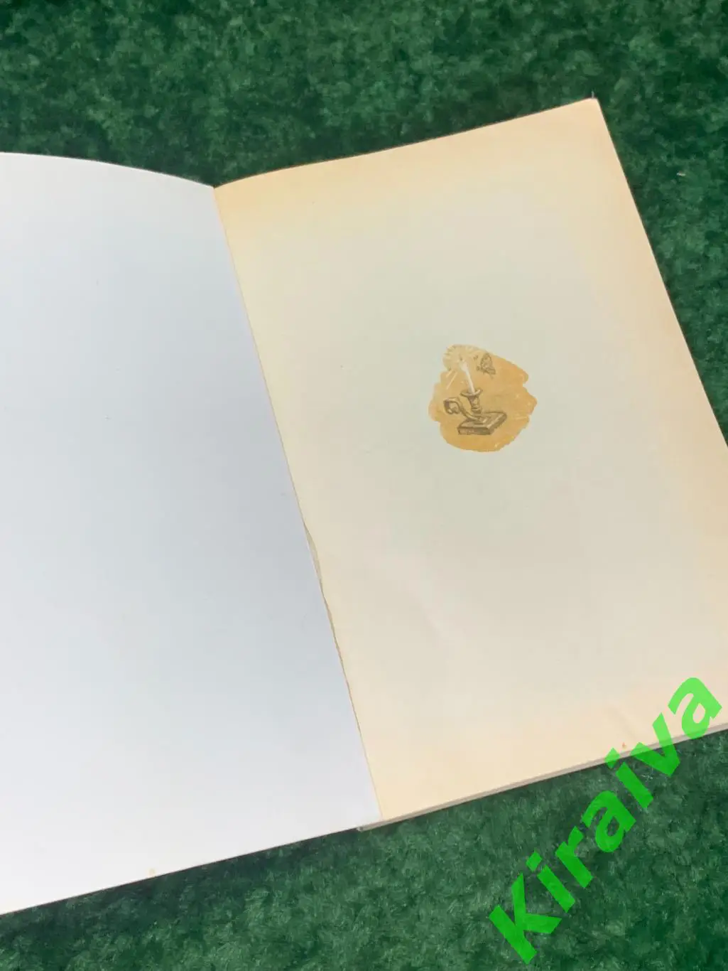 Книга роман Полинька Сакс. Дневник А.В. Дружинин 1989 Н1751Эмоционально насы 1