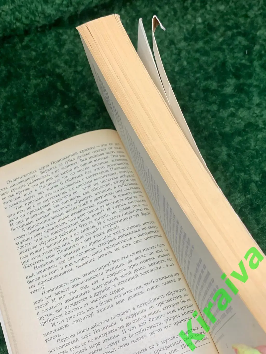 Книга роман Полинька Сакс. Дневник А.В. Дружинин 1989 Н1751Эмоционально насы 4