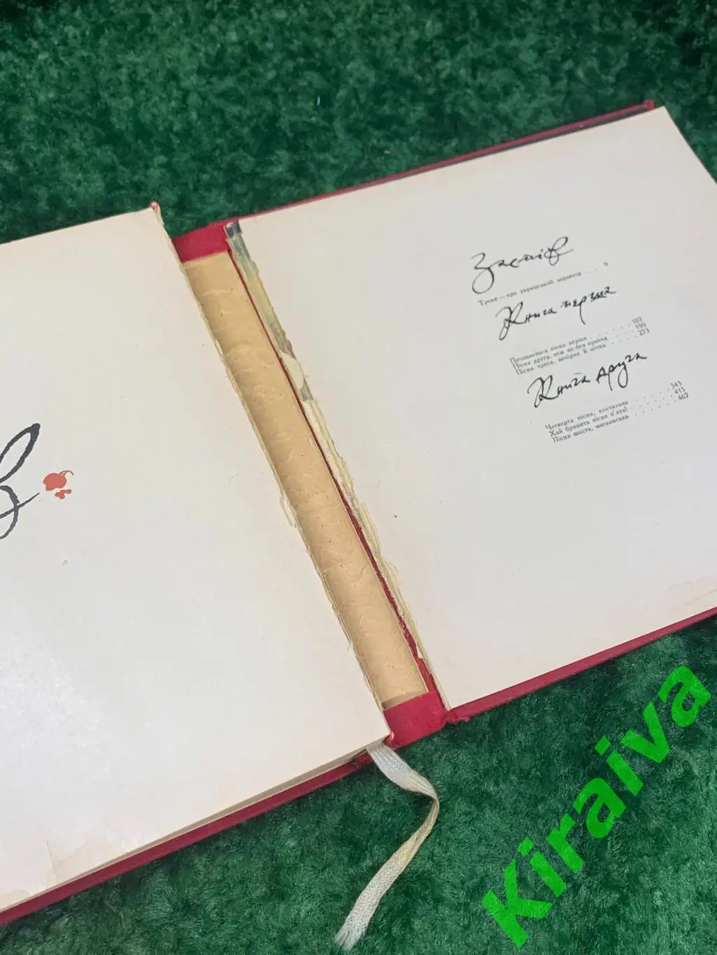 Книга роман - легенда Козацькому роду нема переводу, або Мамай і чужа молодиця 6