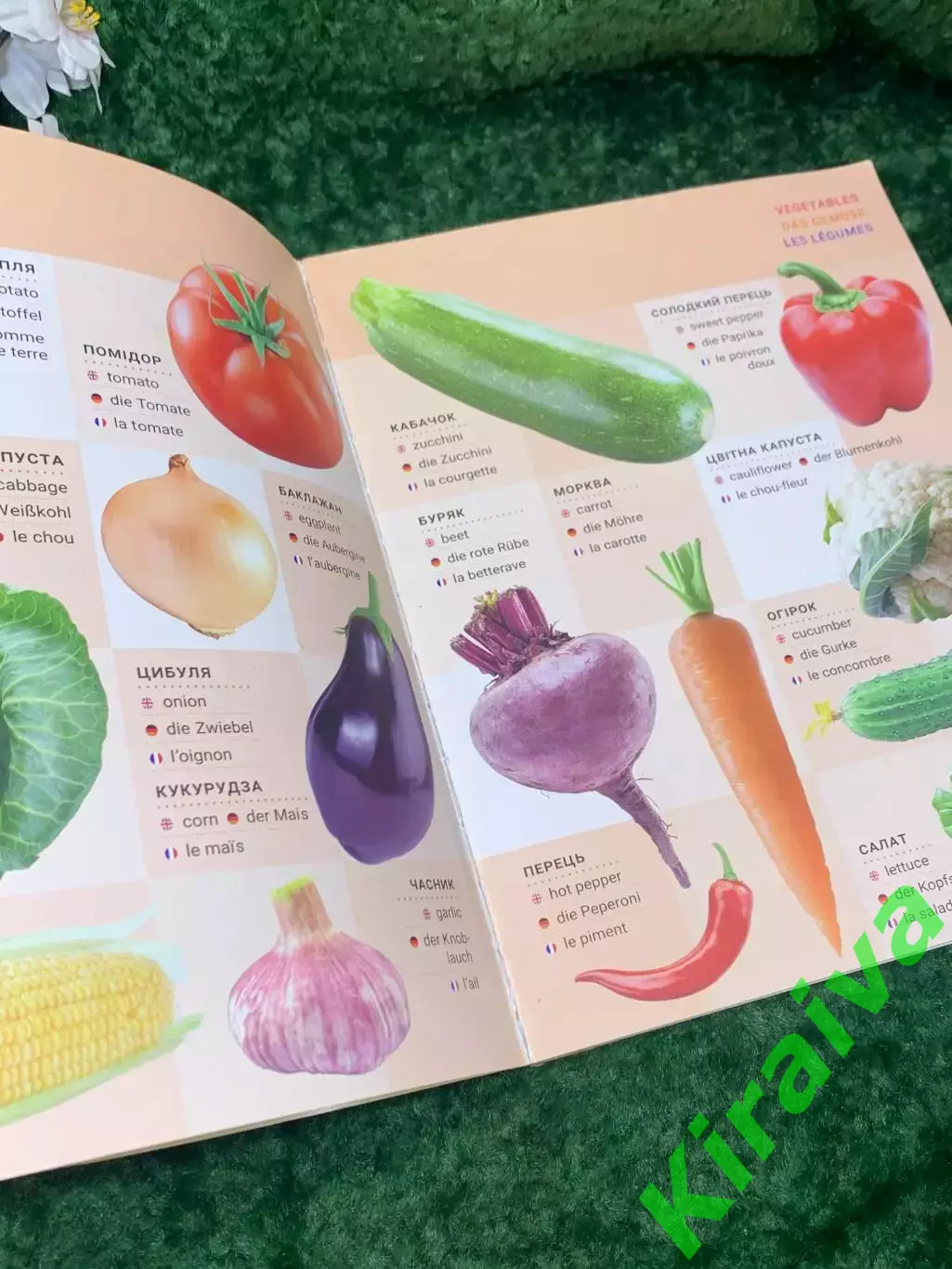 Детская книга с мобильным приложением Многоязычный фото-словарь Вчений Кіт Н2115 2