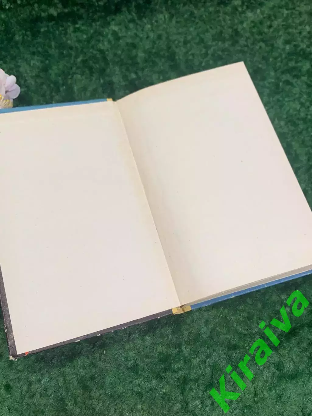 Книга «Котельные установки малой и средней мощности» В.И. Пания, 1968 г. Н2140 1