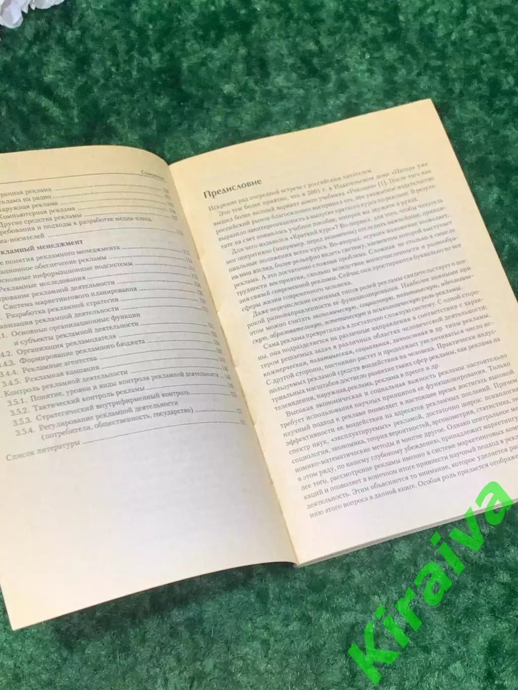 Книга учебное пособие Реклама. Краткий курс Е.В. Ромат 2002 Н2155Учебное пос 3