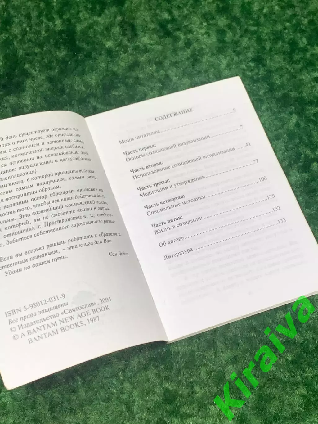 Книга по работе с подсознанием «Созидающая визуализация» Шакти Гавейн Н2158 2