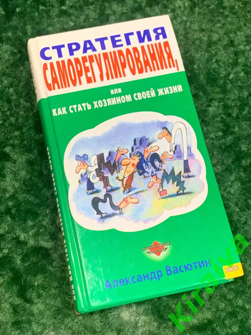Книга «Стратегия саморегулирования, или Как стать хозяином своей жизни» Н2170