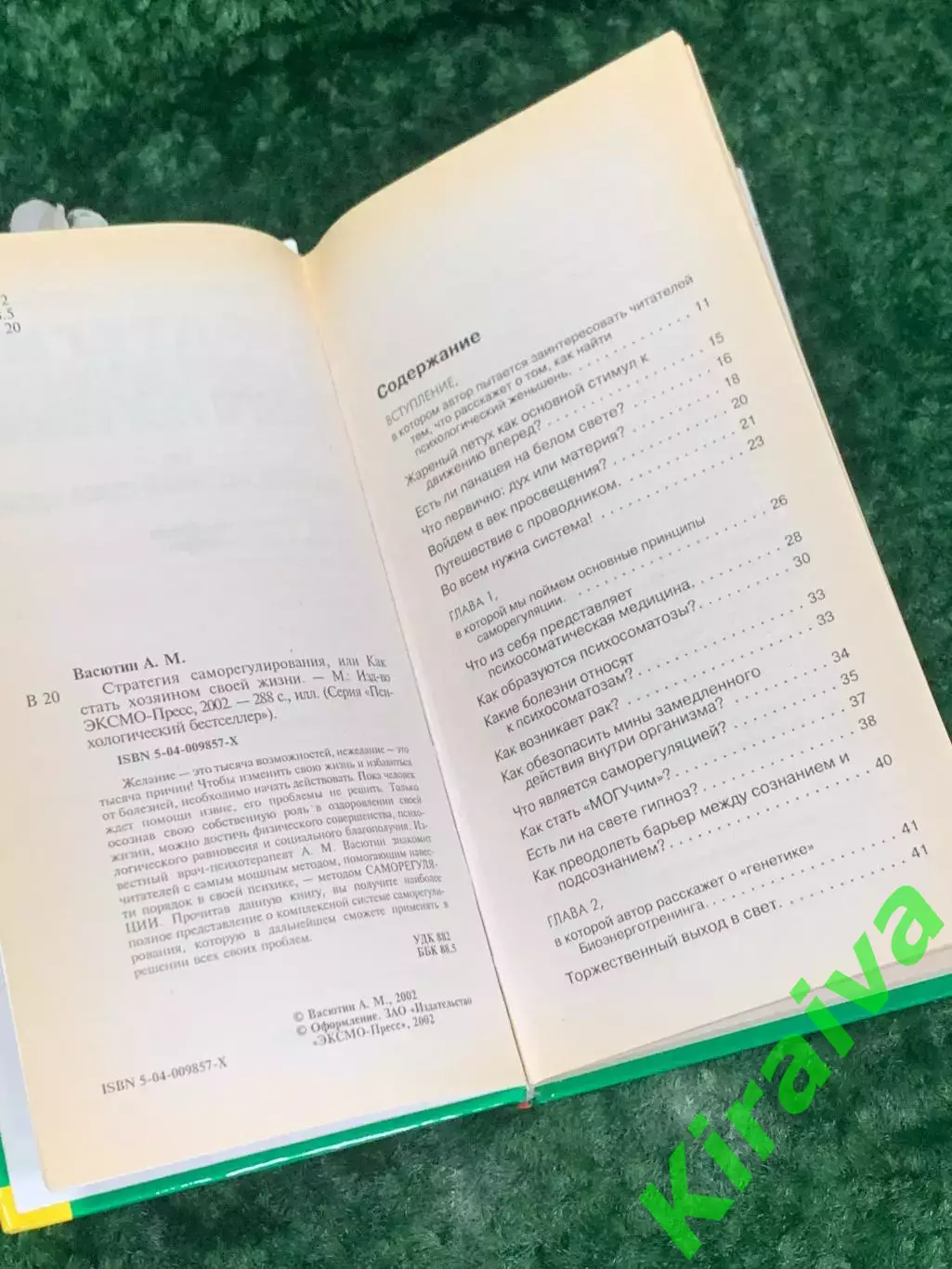 Книга «Стратегия саморегулирования, или Как стать хозяином своей жизни» Н2170 2