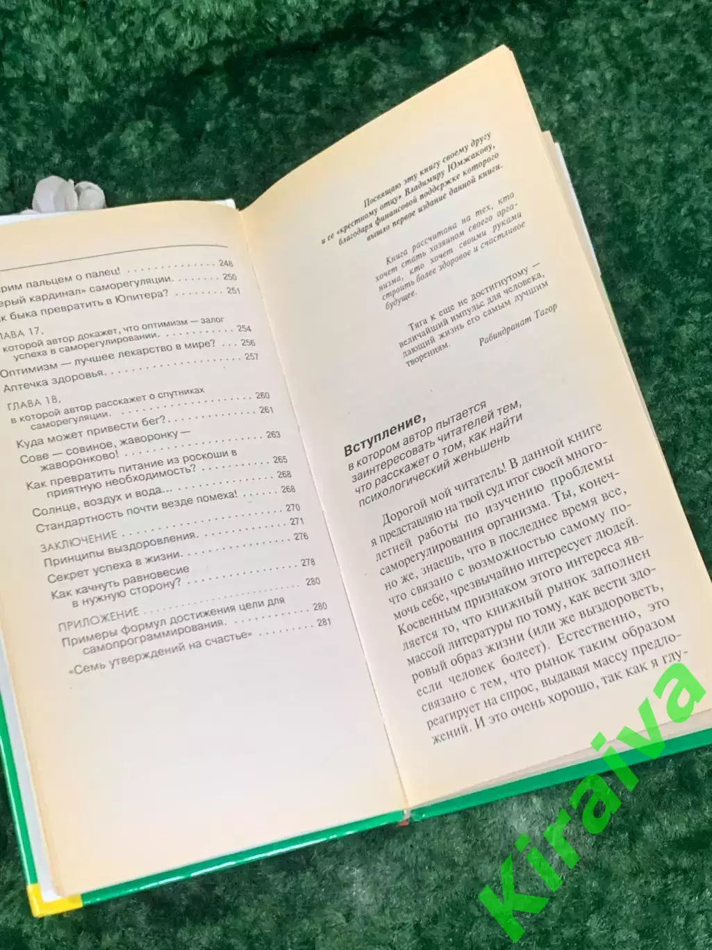 Книга «Стратегия саморегулирования, или Как стать хозяином своей жизни» Н2170 3