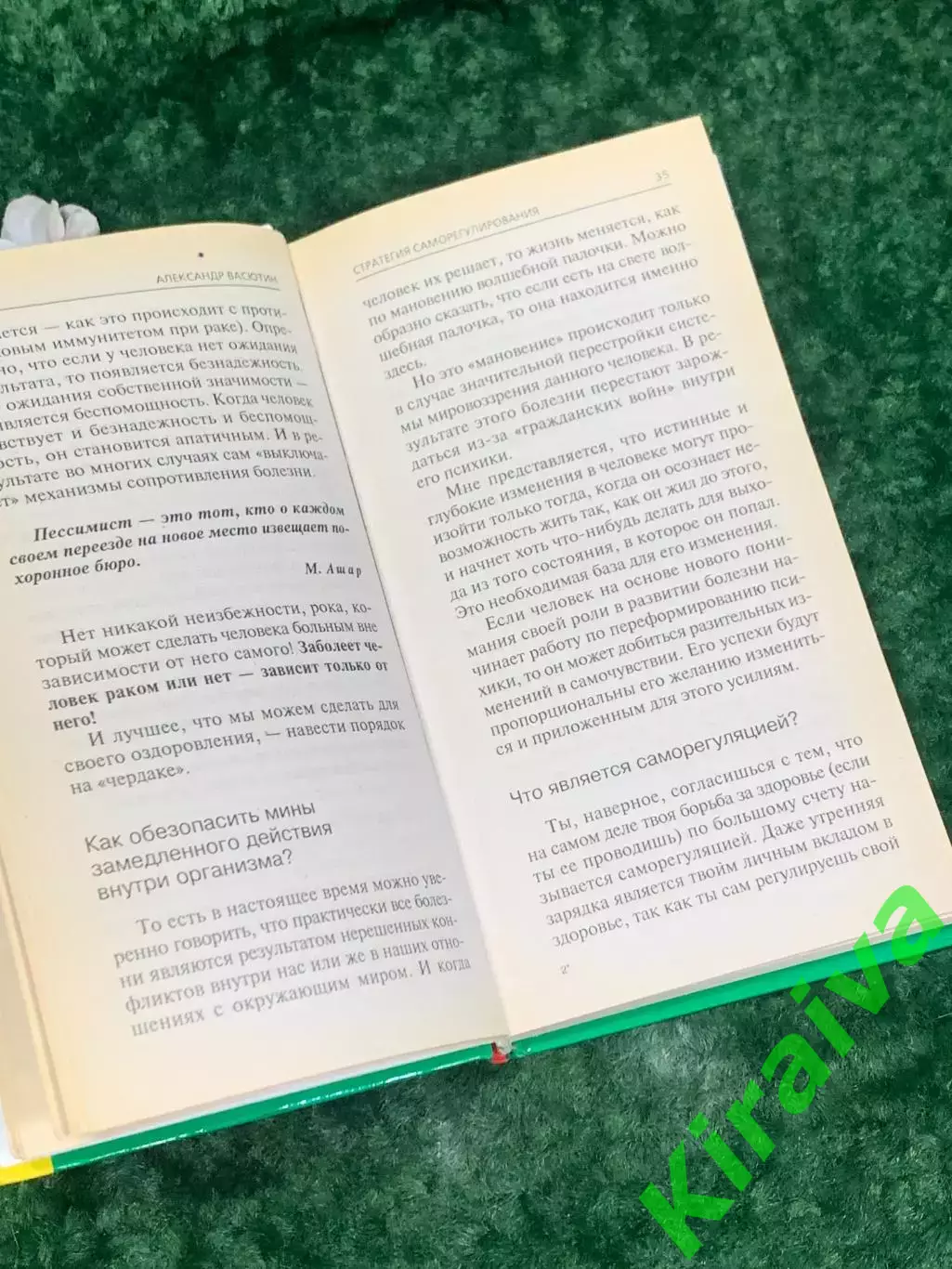 Книга «Стратегия саморегулирования, или Как стать хозяином своей жизни» Н2170 4