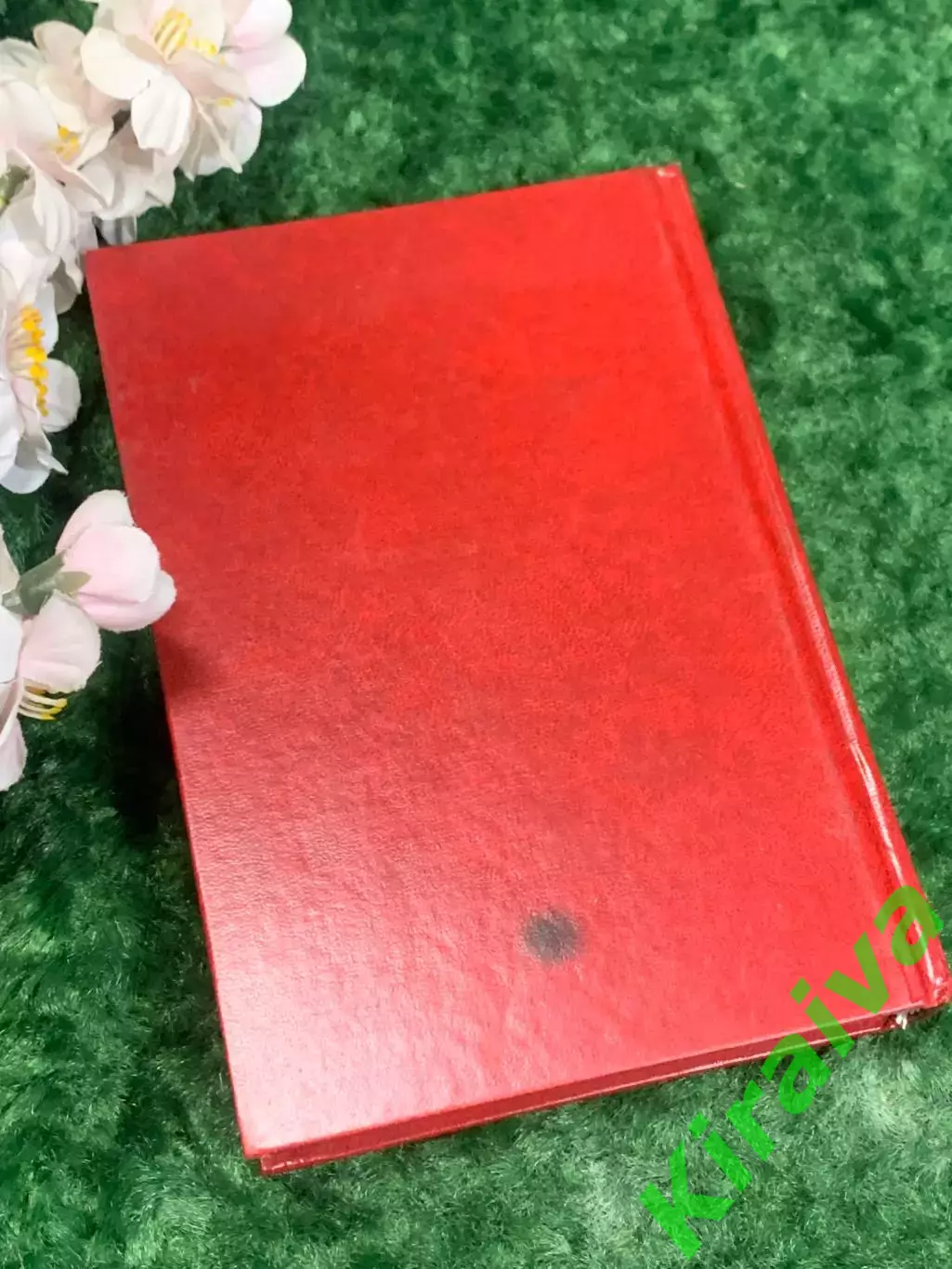 Книга стихи «Белый день» Арсений Тарковский 1998 г., Н2171Сборник поэзии Арсен 7