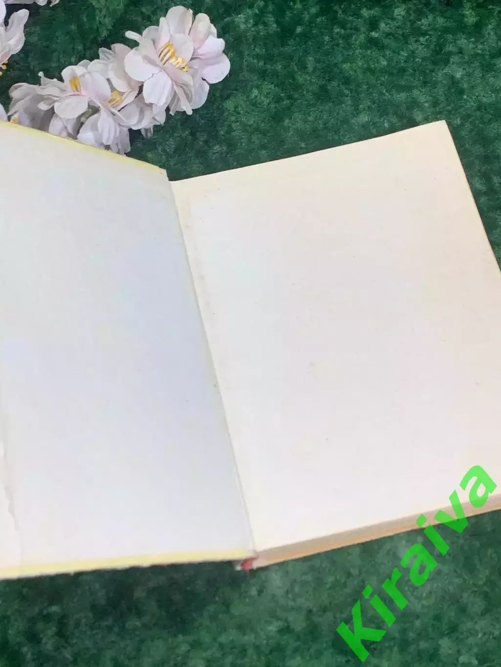 Книга биография «Чайковский в Петербурге» Л.М.Конисская 1974 г., Н2172Редкое и 1