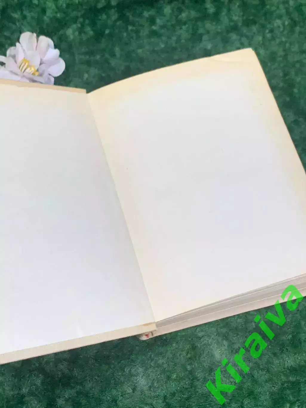 Книга поэзия, стихи Ольга Берггольц, 1967 г., Н2173Редкое советское издание, в 1