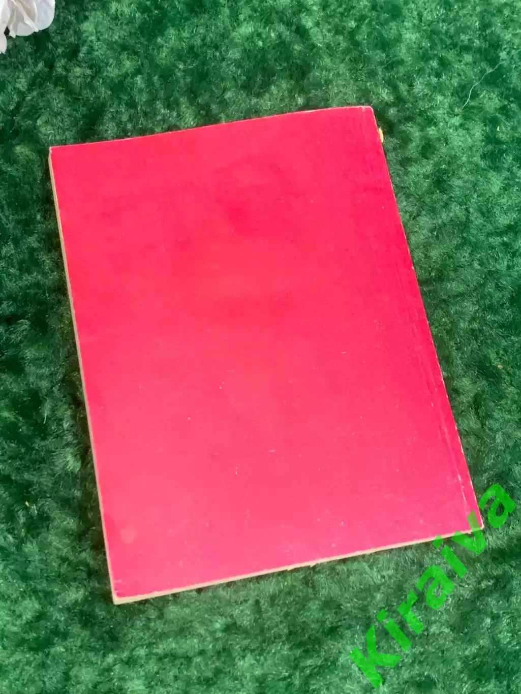 Книга философия о природе зла «Люди и демоны» Священник Родион 1993 г., Н2176 6