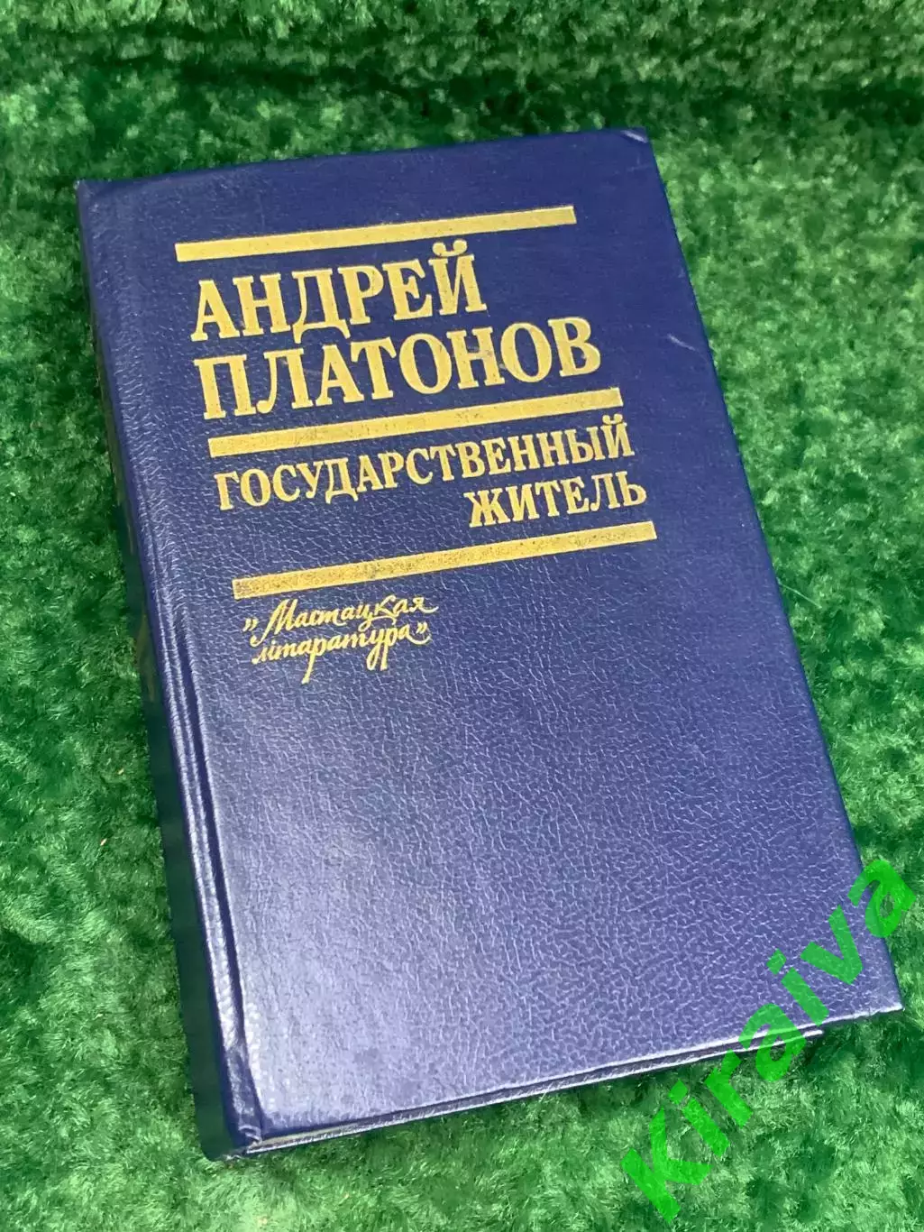 Книга проза, сочинения, письма «Государственный житель» Андрей Платонов, Н2177