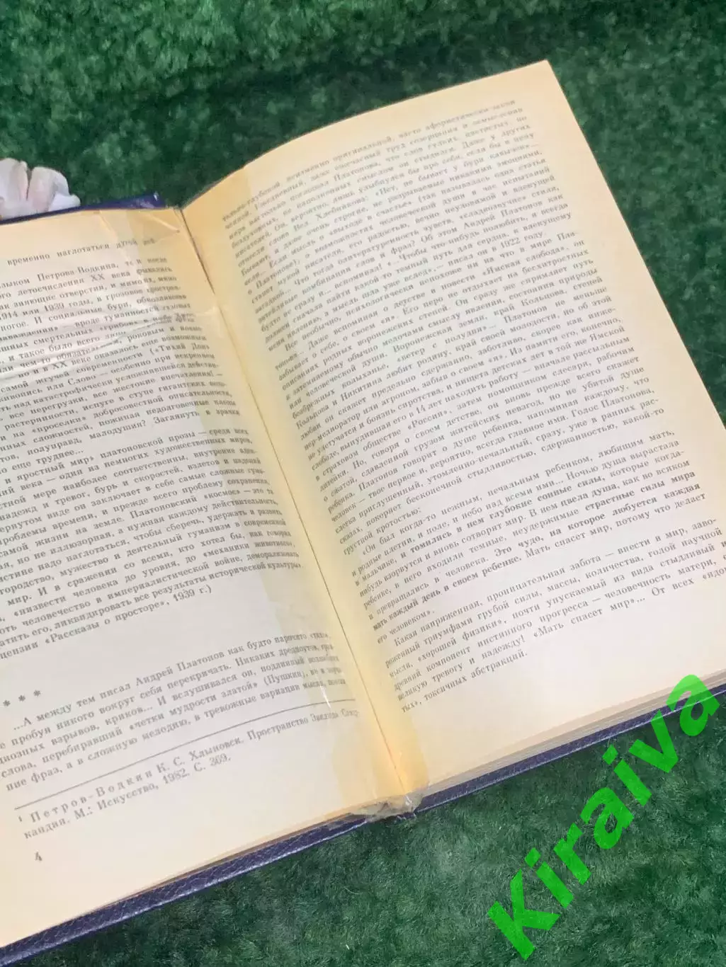 Книга проза, сочинения, письма «Государственный житель» Андрей Платонов, Н2177 4