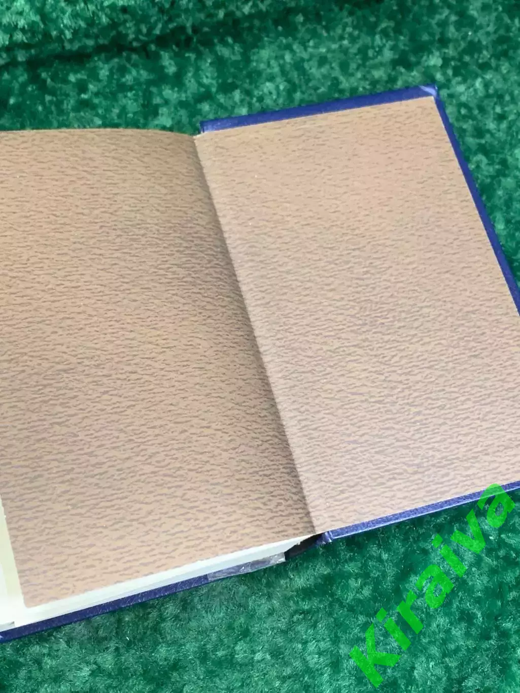 Книга проза, сочинения, письма «Государственный житель» Андрей Платонов, Н2177 6