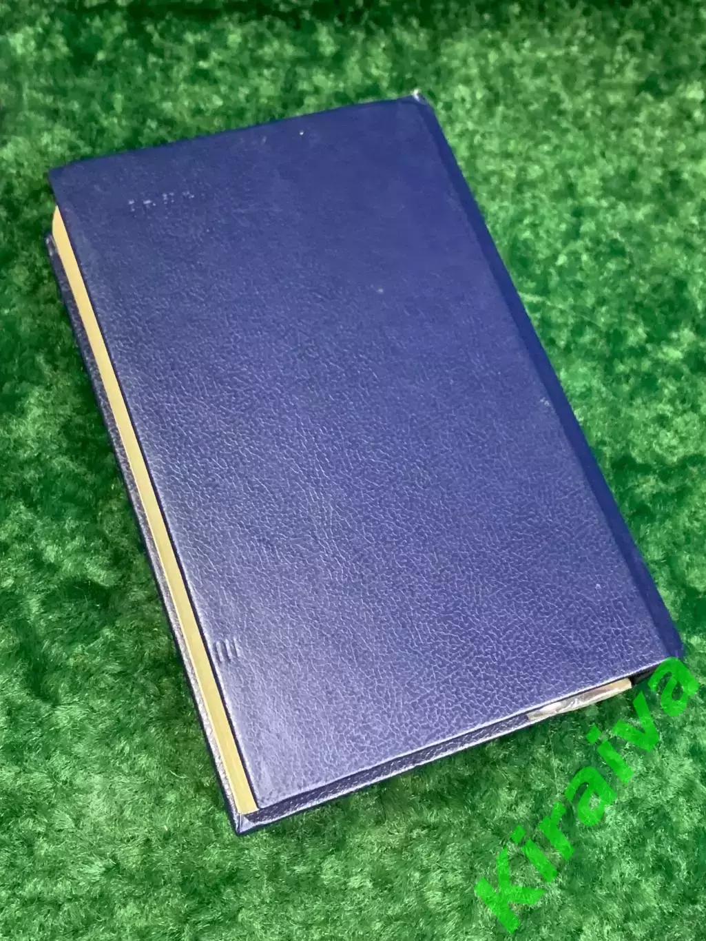 Книга проза, сочинения, письма «Государственный житель» Андрей Платонов, Н2177 7