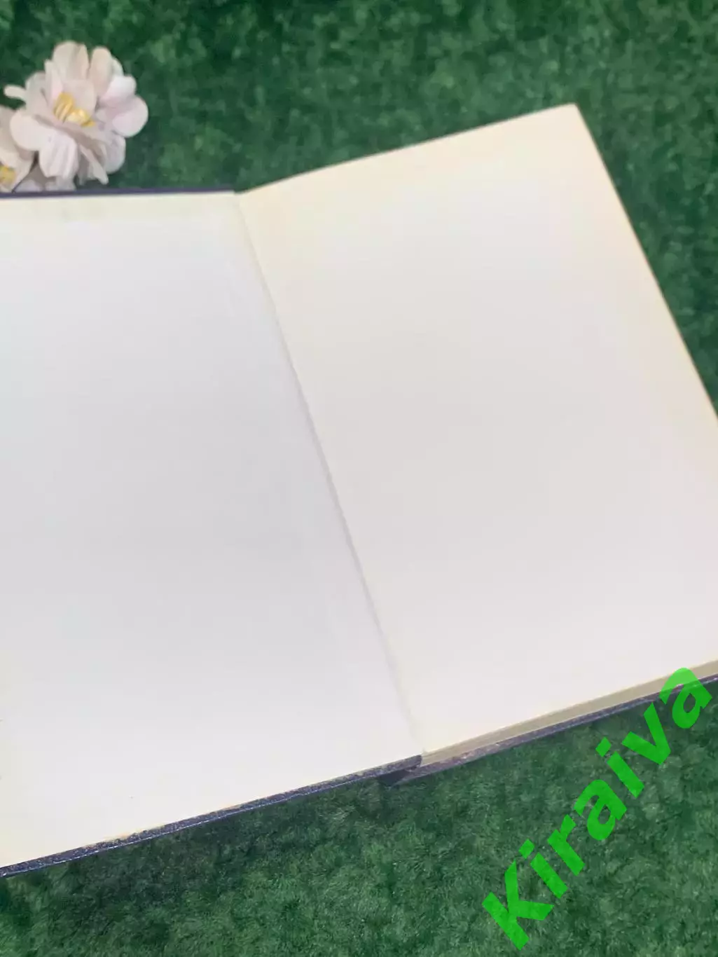 Книга приключенческий роман «Она. Аэша. Перстень царицы Савской» Райдер Н2181 1