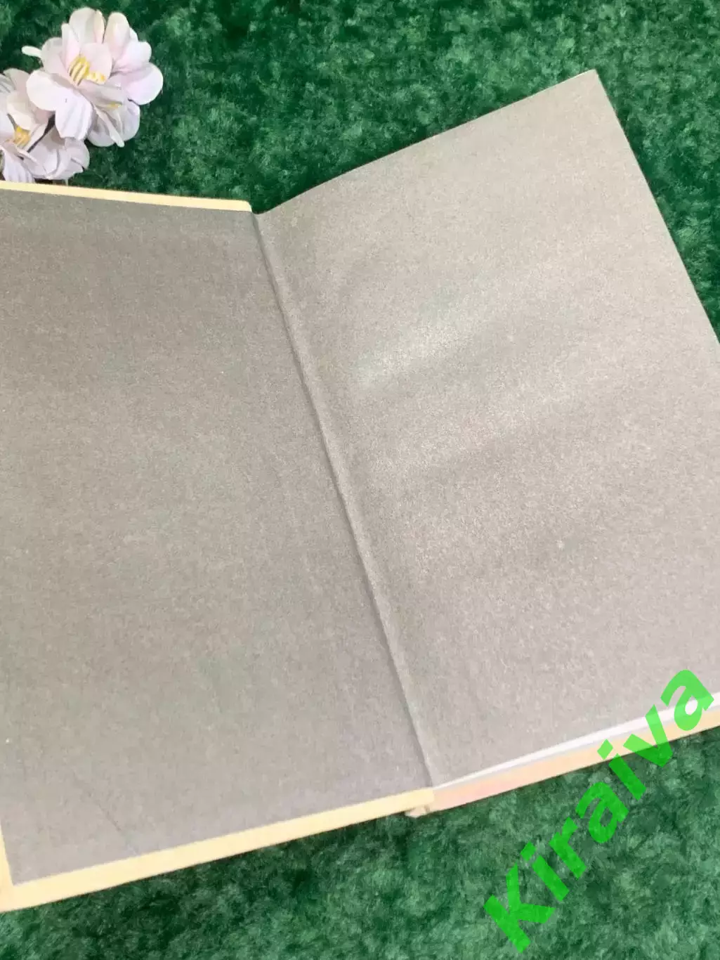 Книга идеологическом и психологическом давлении «Скрытый террор» Лэнггут Н2183 1