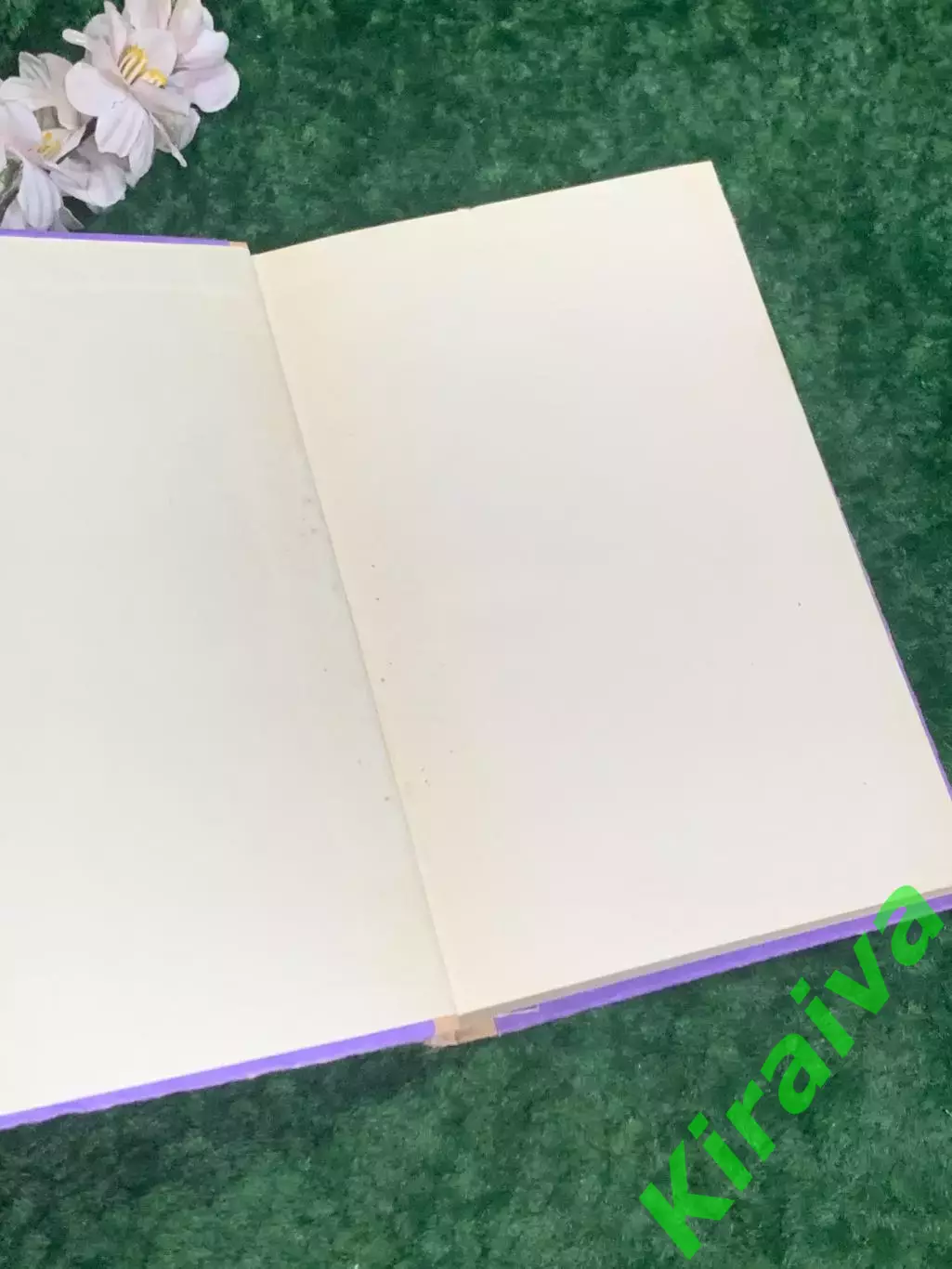 Книга роман «Женская война» Александр Дюма, Харьков, 1992 г., Н2195 1