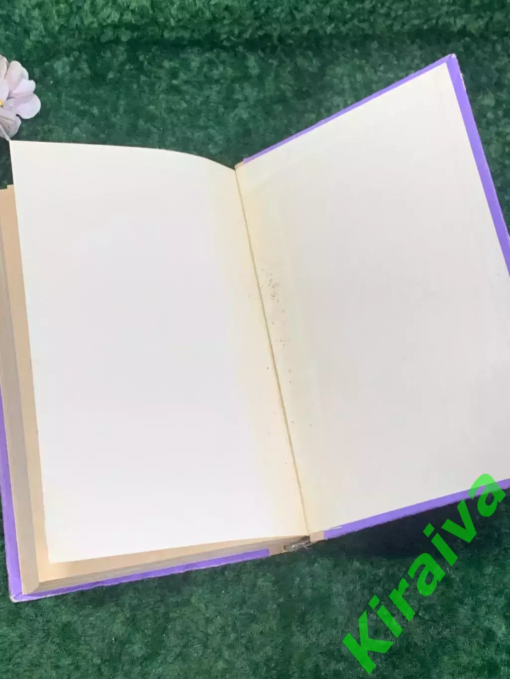 Книга роман «Женская война» Александр Дюма, Харьков, 1992 г., Н2195 6