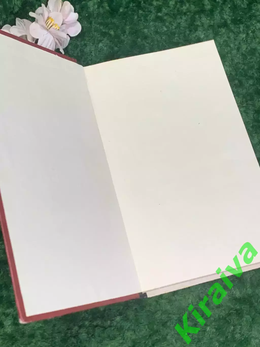 Книга роман «Тихий американец. Наш резидент на Гавайях» Грэхем Грин, Н2197 1