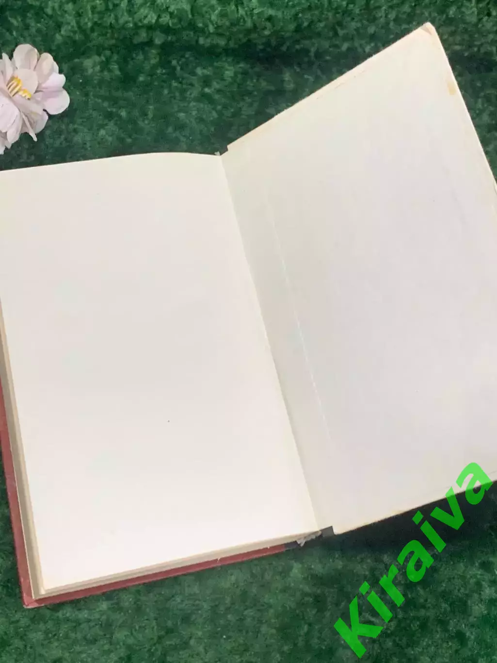 Книга роман «Тихий американец. Наш резидент на Гавайях» Грэхем Грин, Н2197 6