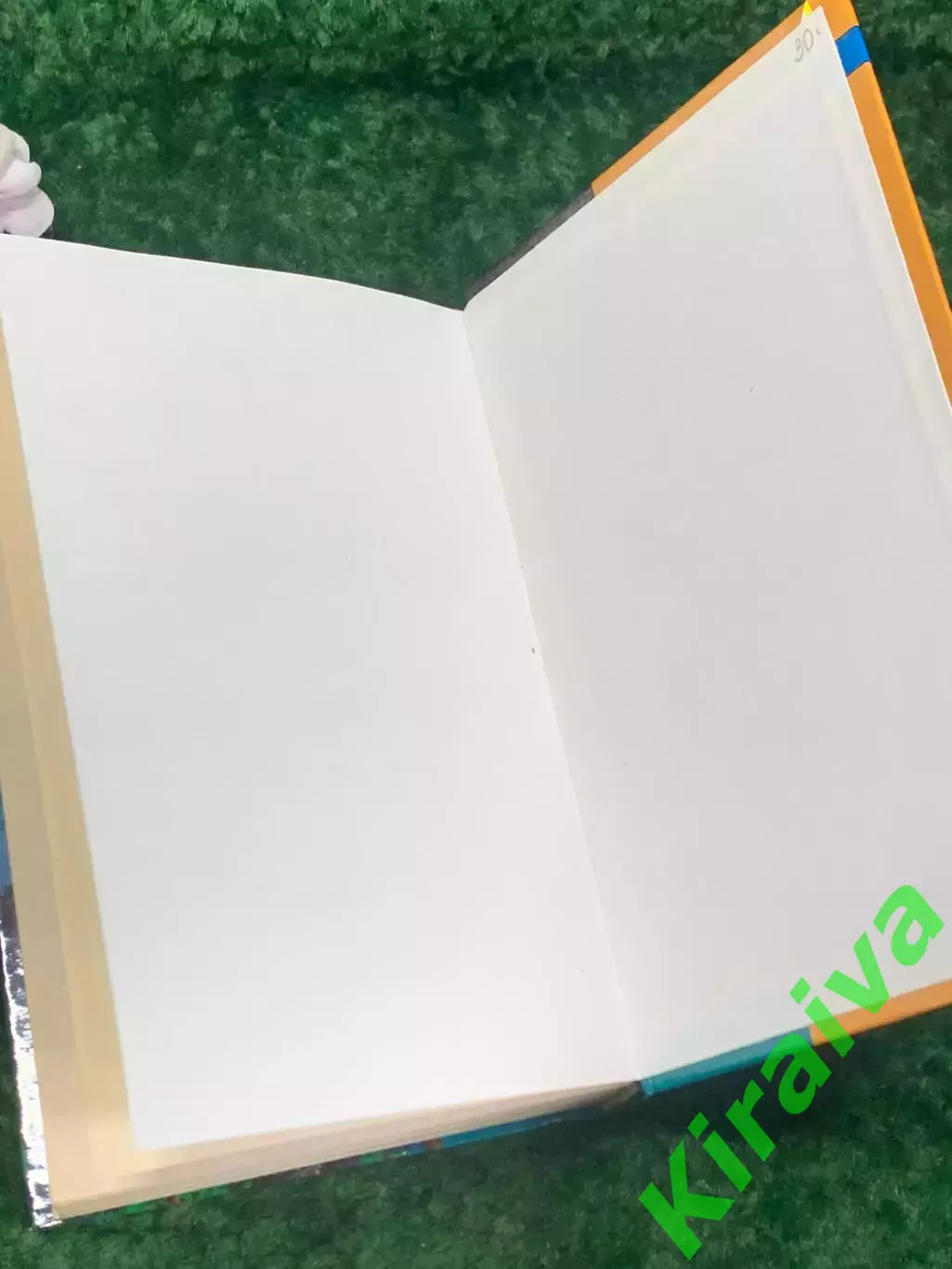 Книга роман «Волкодав» Мария Семёнова, 2005 г., Н2199 7