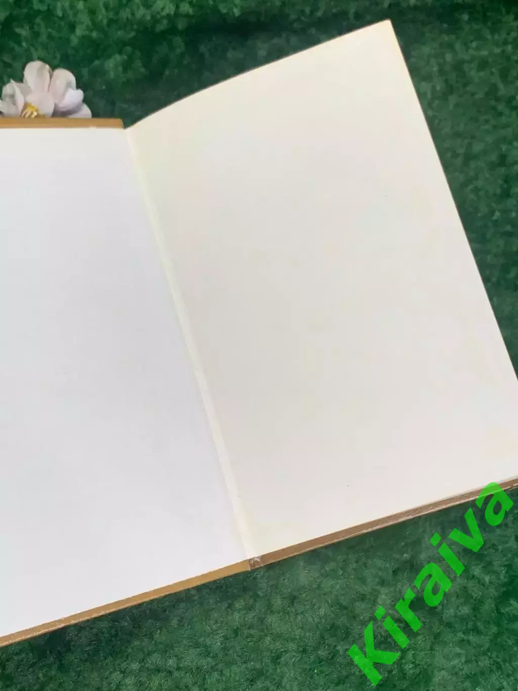 Книга биография «Жизнь Александра Блока» Владимир Орлов, Гамаюн, Киев, Н2200 1