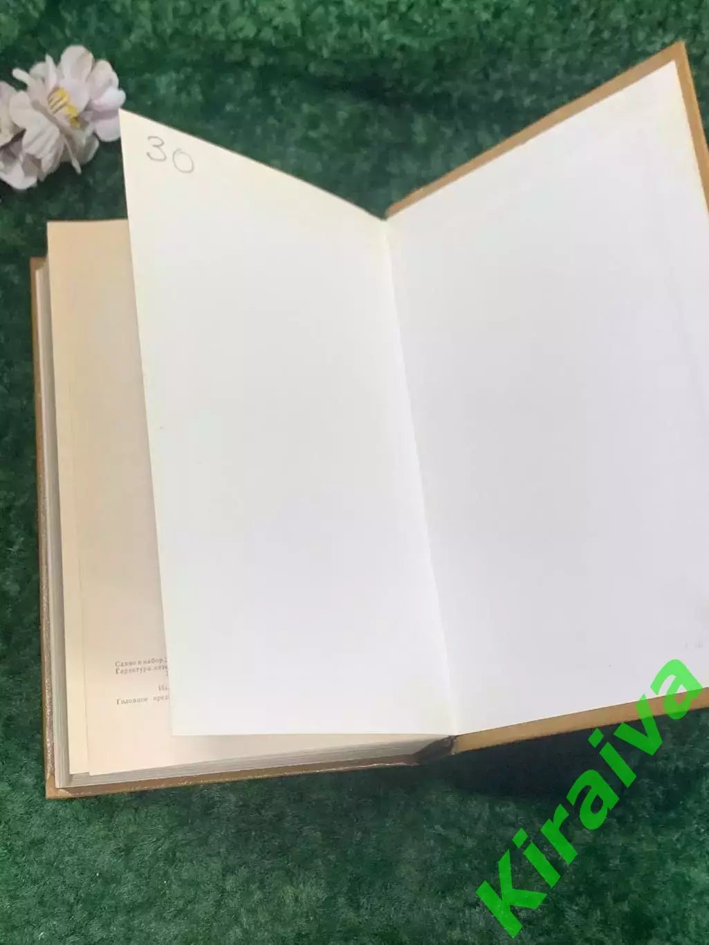 Книга биография «Жизнь Александра Блока» Владимир Орлов, Гамаюн, Киев, Н2200 7