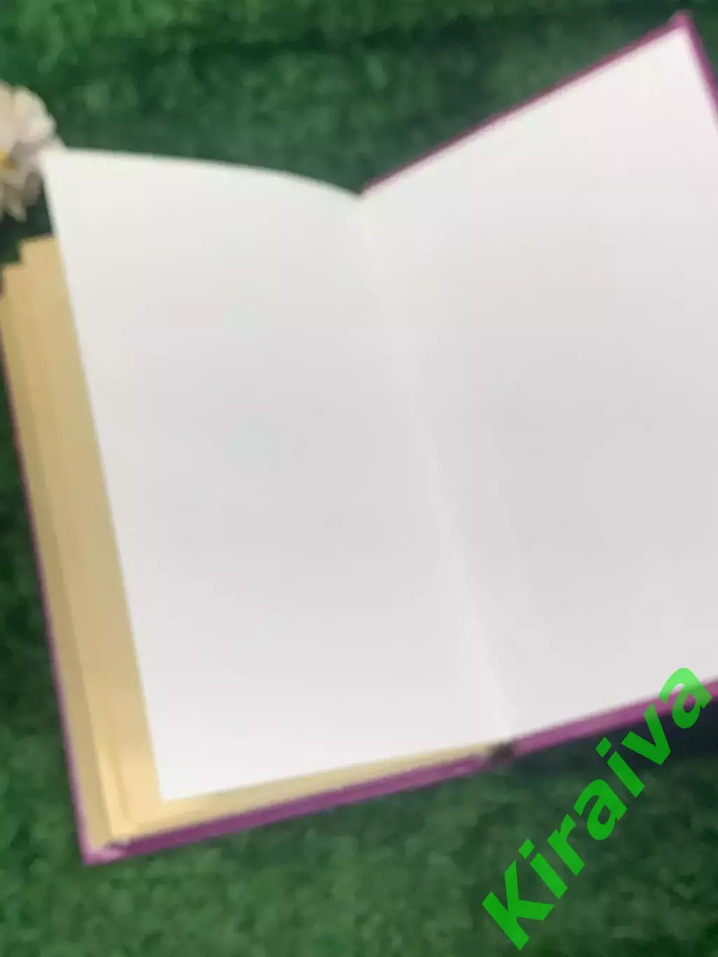 Книга биография «Подразделение 000» Сергей Костин, 2002 г., Н2201 5