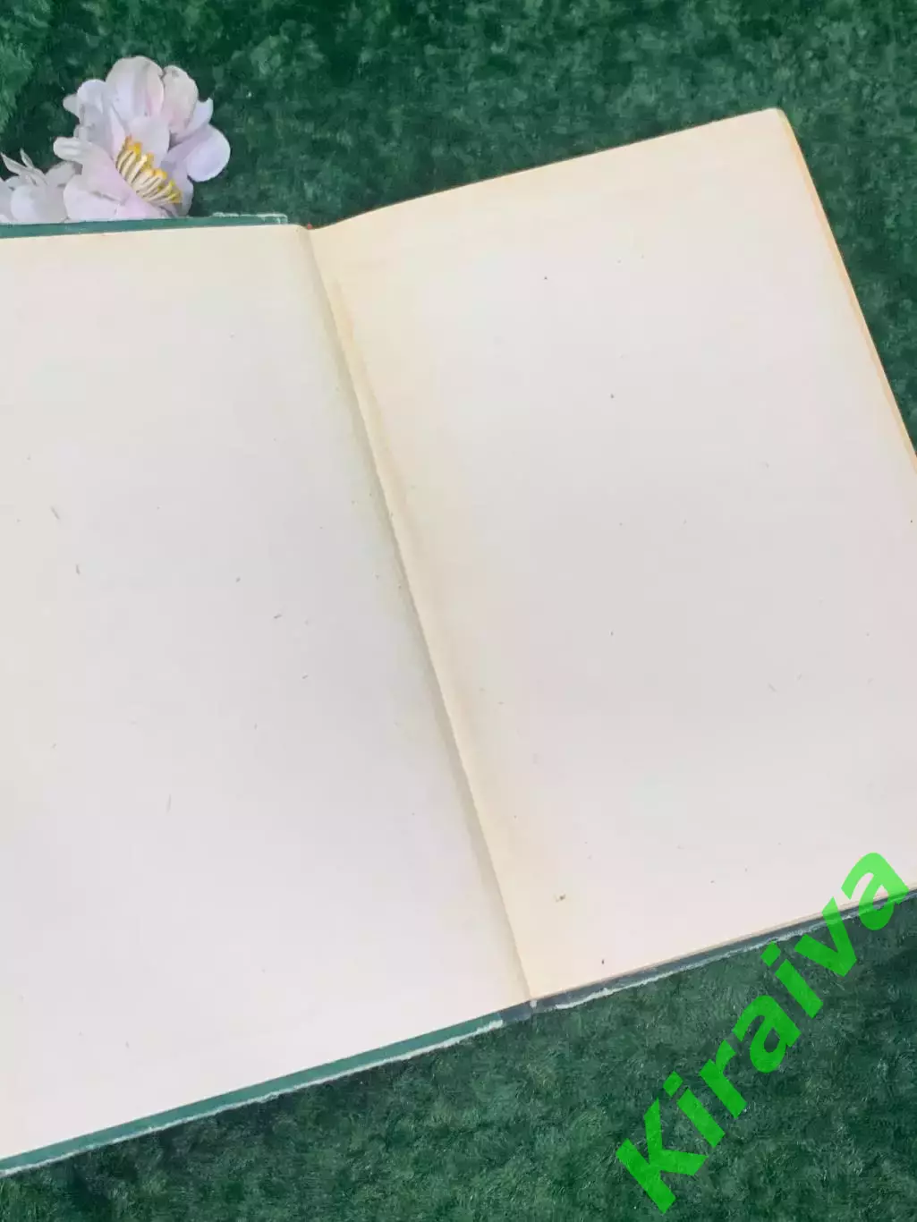 Книга историческая хроника «Денис Давыдов» Н. Задонский, 1962 г., Н2210 1