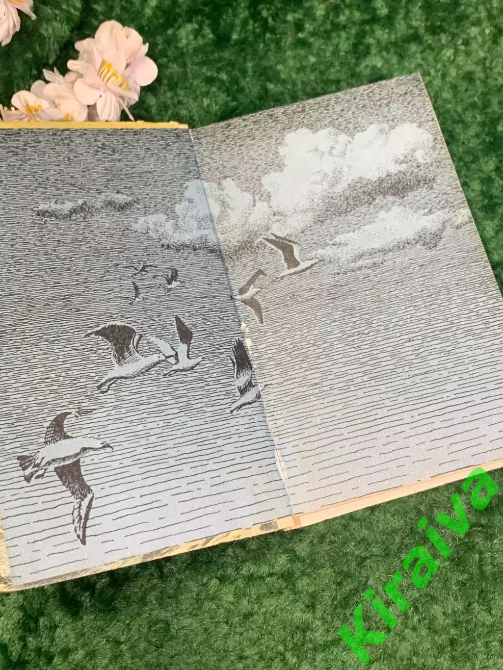 Книга роман «Вокруг света на Коршуне» Константин Станюкович, Одесса, Н2219 1