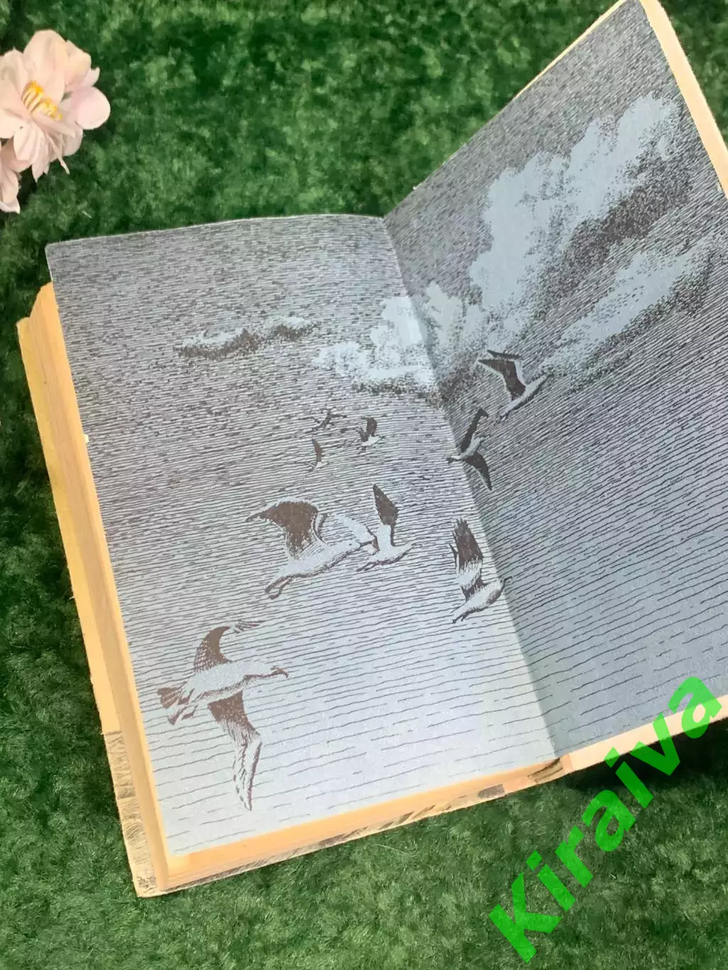 Книга роман «Вокруг света на Коршуне» Константин Станюкович, Одесса, Н2219 6