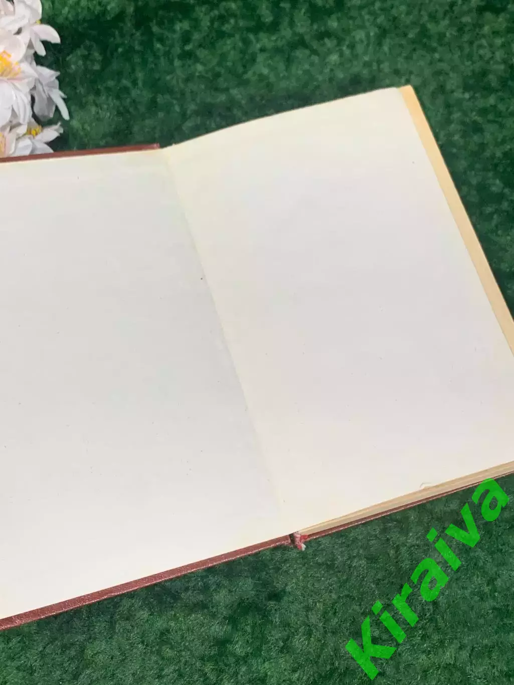 Книга учебник «Теория государства и права» А.В. Сурилов, 1989 г., Одесса, Н2230 1