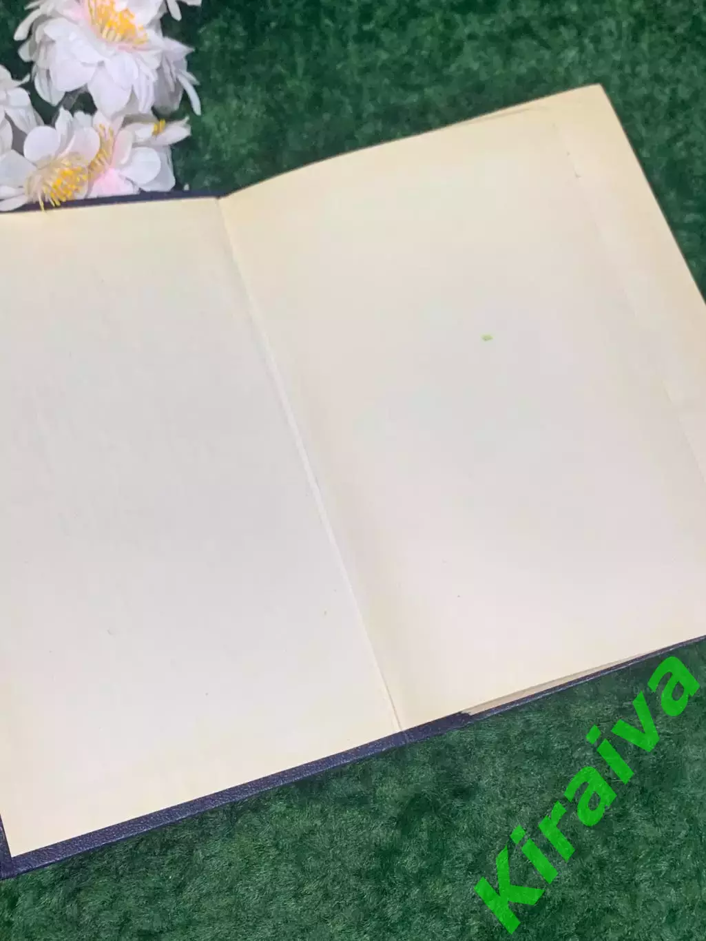 Книга «Памятники исторической Украины. Очерк истории украинского народа» Н2231 1