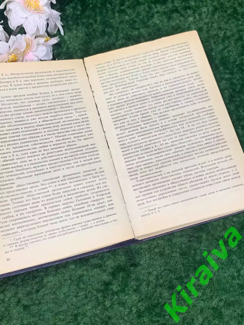 Книга «Памятники исторической Украины. Очерк истории украинского народа» Н2231 4