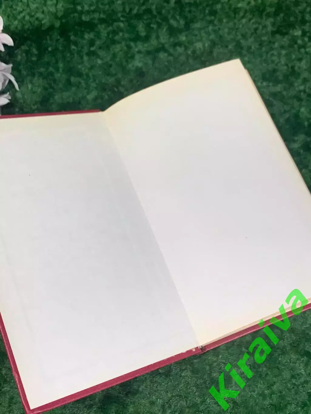 Книга «Космопланетарный феномен человека», В. П. Казначеев, Спирин 1991 Н2236 1