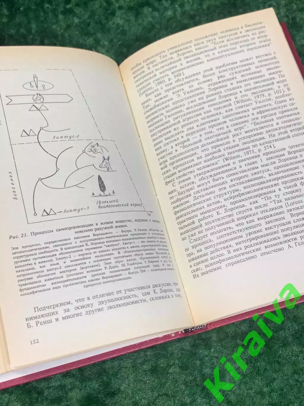 Книга «Космопланетарный феномен человека», В. П. Казначеев, Спирин 1991 Н2236 4
