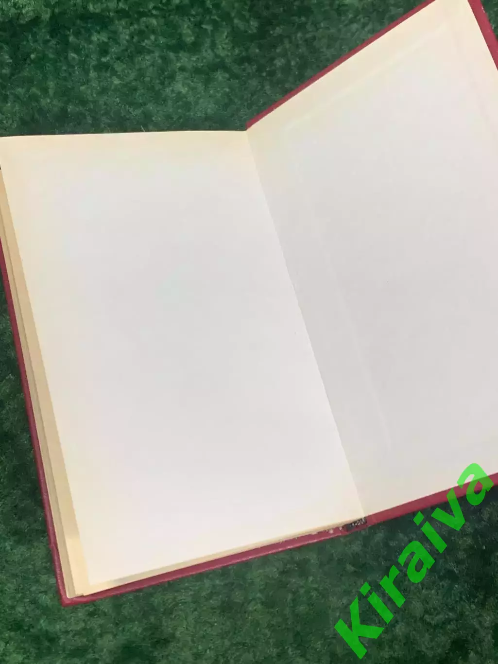 Книга «Космопланетарный феномен человека», В. П. Казначеев, Спирин 1991 Н2236 6