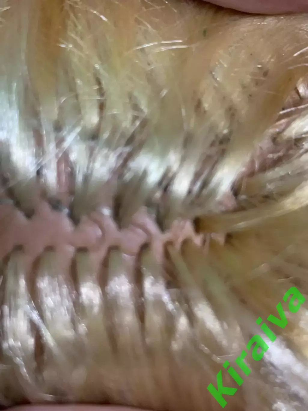 60–80-е гг. Винтажная кукла ГДР Schalkau (Шалькау) «мулатка» времен СССР Н2256 6